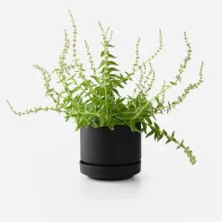 Schoolhouse 8" Modern Planter + Dish Set Discount