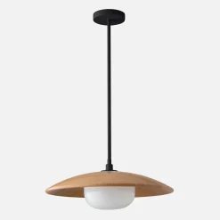 Schoolhouse Atwood 20" Pendant Hot