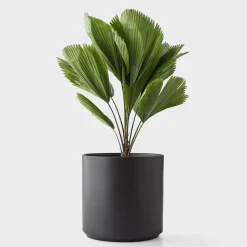 Schoolhouse Cylinder Planter Hot