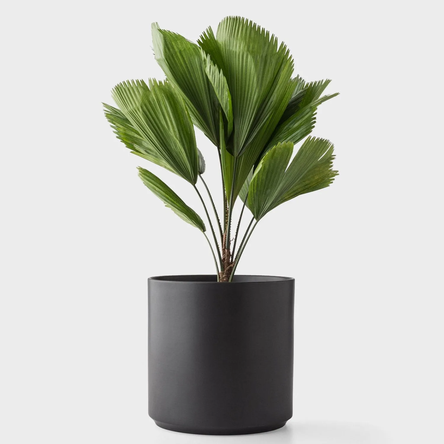 Schoolhouse Cylinder Planter Hot