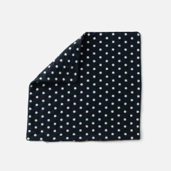 Schoolhouse Polka Dot Pillow Clearance