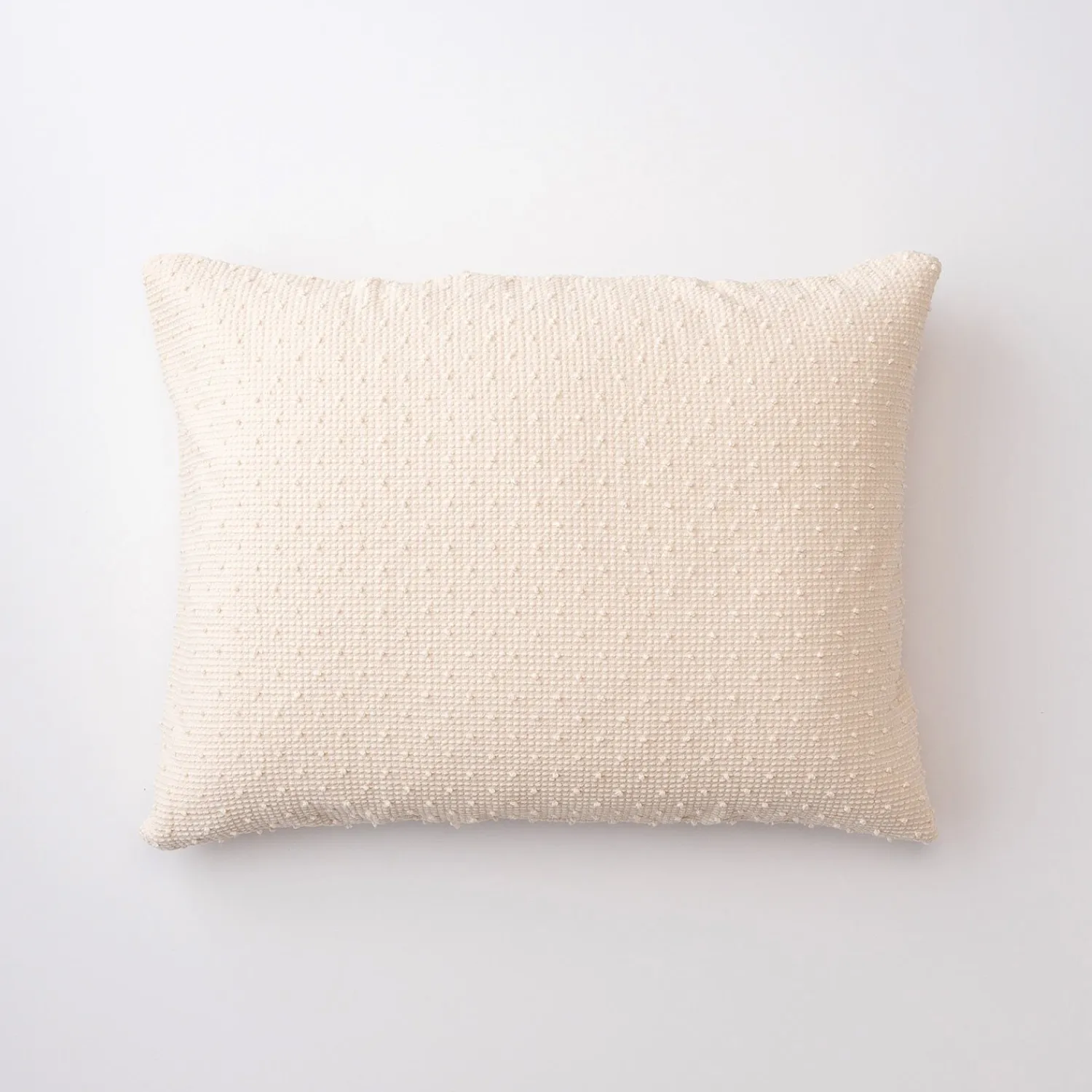 Schoolhouse Popcorn Dot Pillow Sham New
